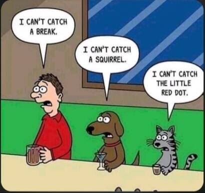 I CAN'T CATCH A BREAK. I CAN'T CATCH A SQUIRREL. I CAN'T CATCH THE LITTLE RED DOT.