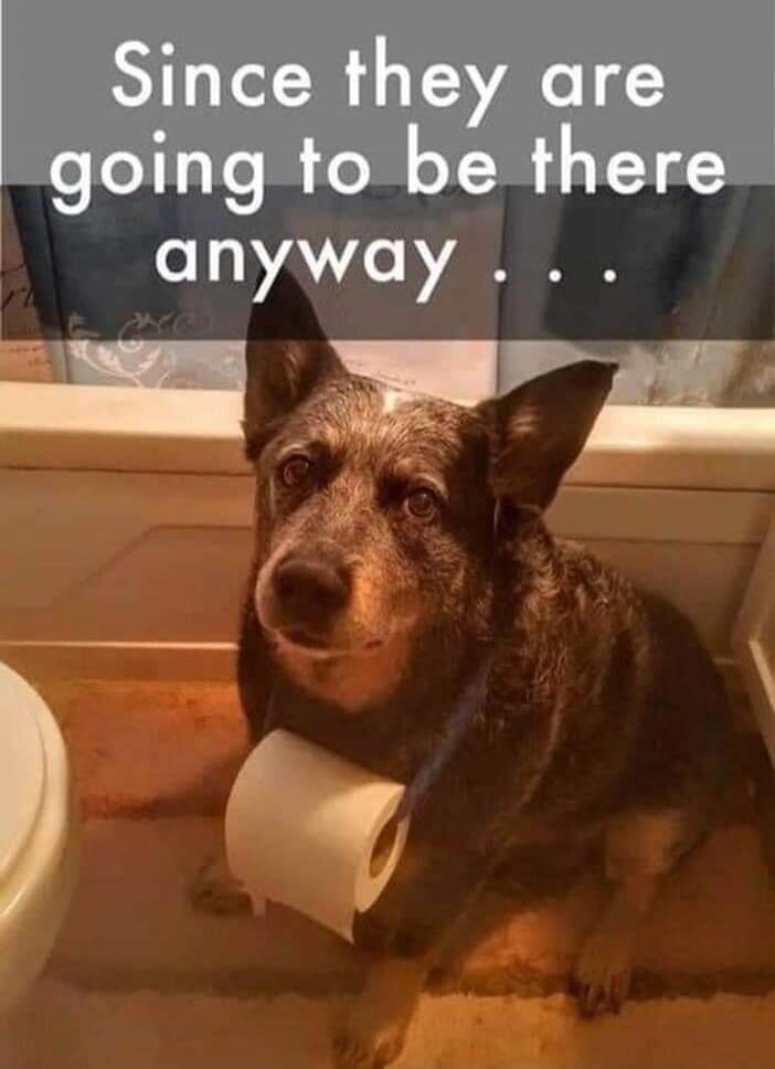 Since they are going to be there anyway...