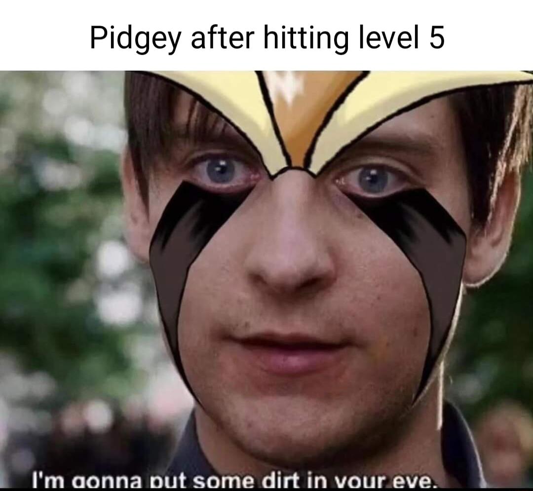 Pidgey after hitting level 5 3 Im aonna out some dirt in vour eve