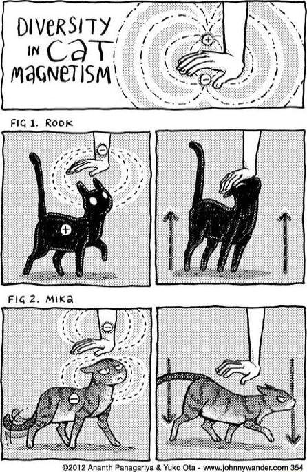 DIVERSITY 723 N Carl _ PR MAGNETISM FIG 1 ROOK r R FI1G 2 MIK