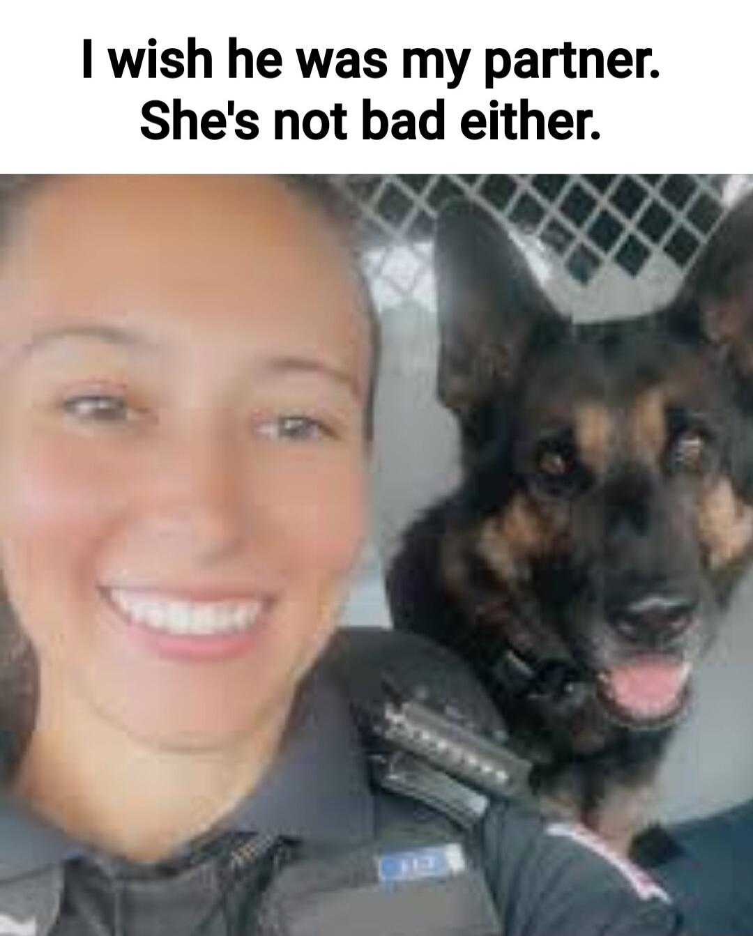 I wish he was my partner. She's not bad either.