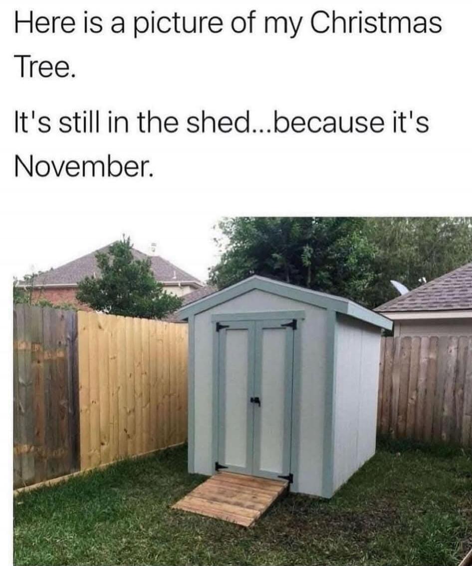 Here is a picture of my Christmas Tree. It's still in the shed...because it's November.
