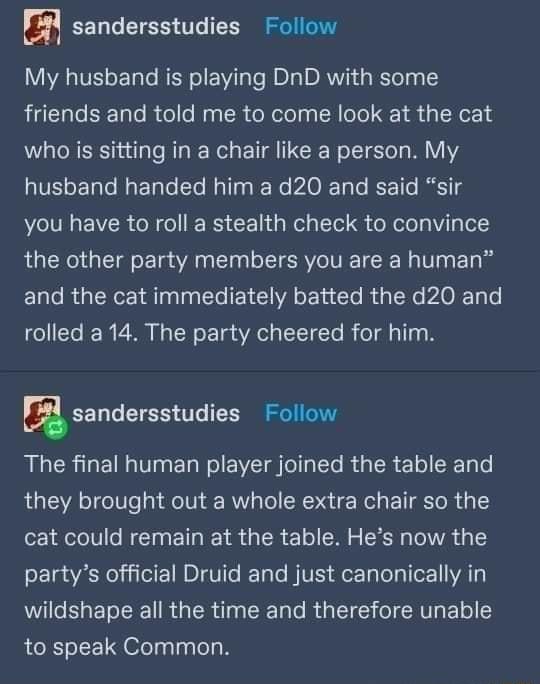 sandersstudies Follow My husband is playing DnD with some friends and told me to come look at the cat who is sitting in a chair like a person My VL oFTaTe My Tl To Mallaa W No AR ToTo Bz Tle Btolg you have to roll a stealth check to convince the other party members you are a human and the cat immediately batted the d20 and rolled a 14 The party cheered for him sandersstudies Follow RLERIGEUL T E R