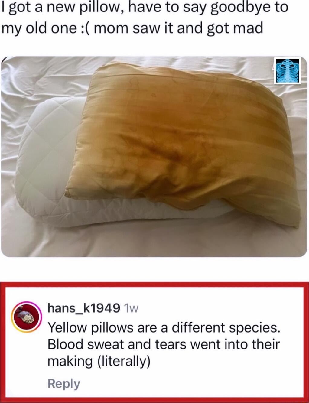 got a new pillow have to say goodbye to my old one mom saw it and got mad hans_k1949 1 Yellow pillows are a different species Blood sweat and tears went into their making literally Reply
