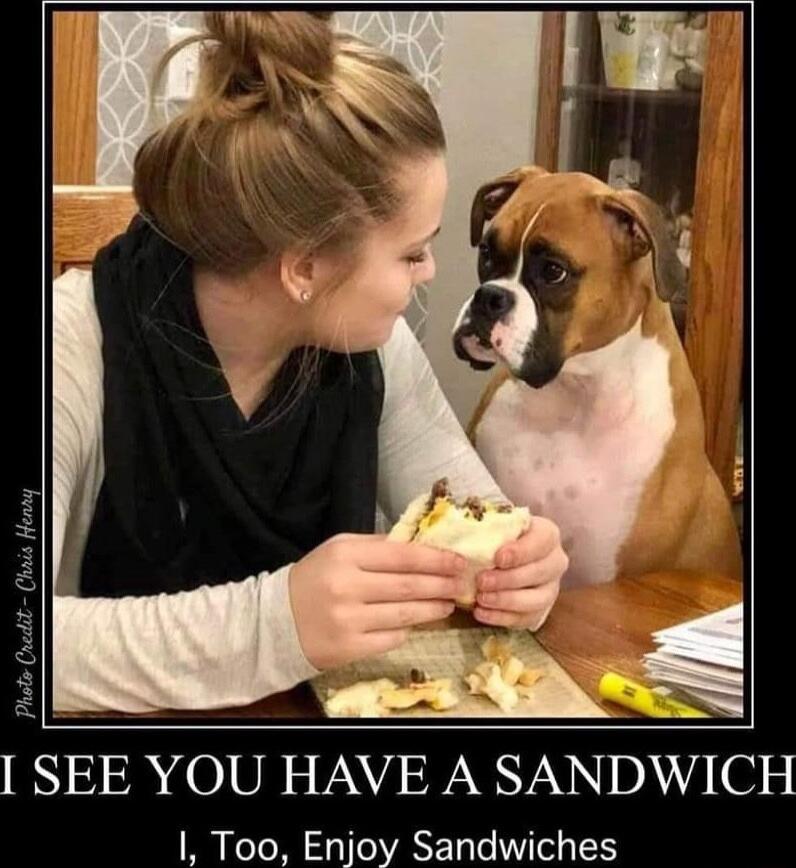 SEE YOU HAVE A SANDWICH I Too Enjoy Sandwiches EUNNYC