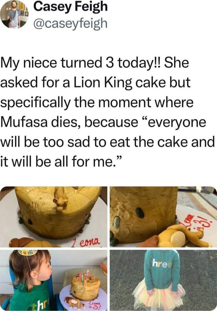 g Casey Feigh caseyfeigh My niece turned 3 today She asked for a Lion King cake but specifically the moment where Mufasa dies because everyone will be too sad to eat the cake and it will be all for me