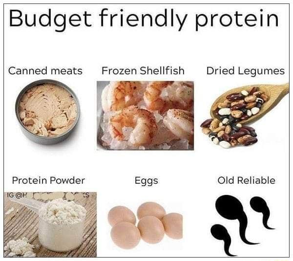 Budget friendly protein Canned meats Frozen Shellfish Dried Legumes Protein Powder Eggs Old Reliable LTS B