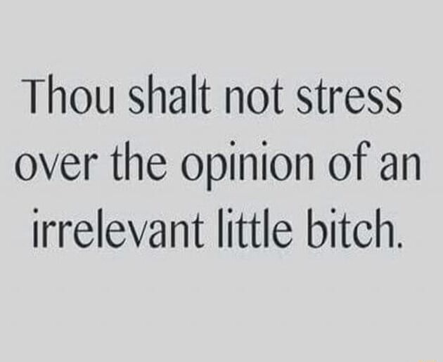 Thou shalt not stress over the opinion of an irrelevant little bitch