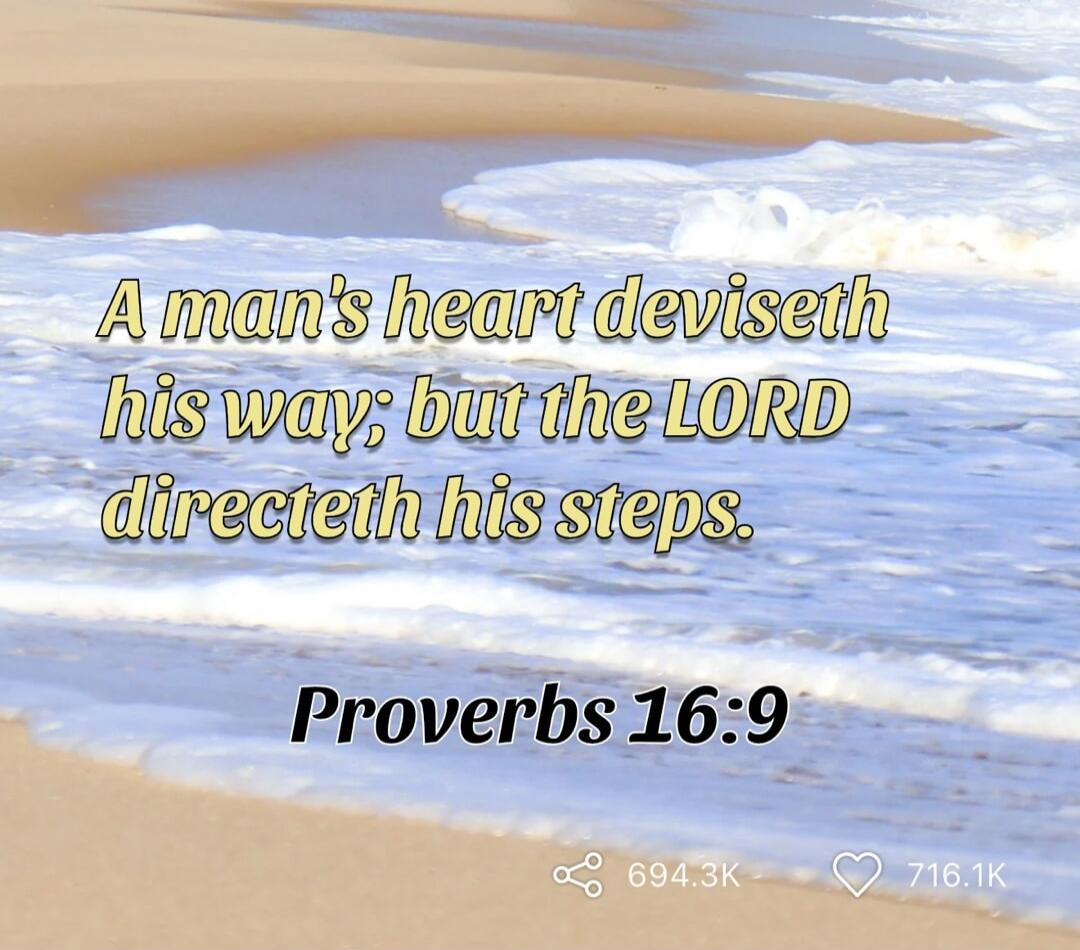 A man's heart deviseth his way; but the LORD directeth his steps. Proverbs 16:9
