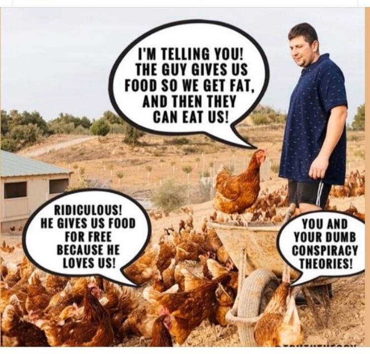 I'M TELLING YOU! THE GUY GIVES US FOOD SO WE GET FAT, AND THEN THEY CAN EAT US! RIDICULOUS! HE GIVES US FOOD FOR FREE BECAUSE HE LOVES US! YOU AND YOUR DUMB CONSPIRACY THEORIES!