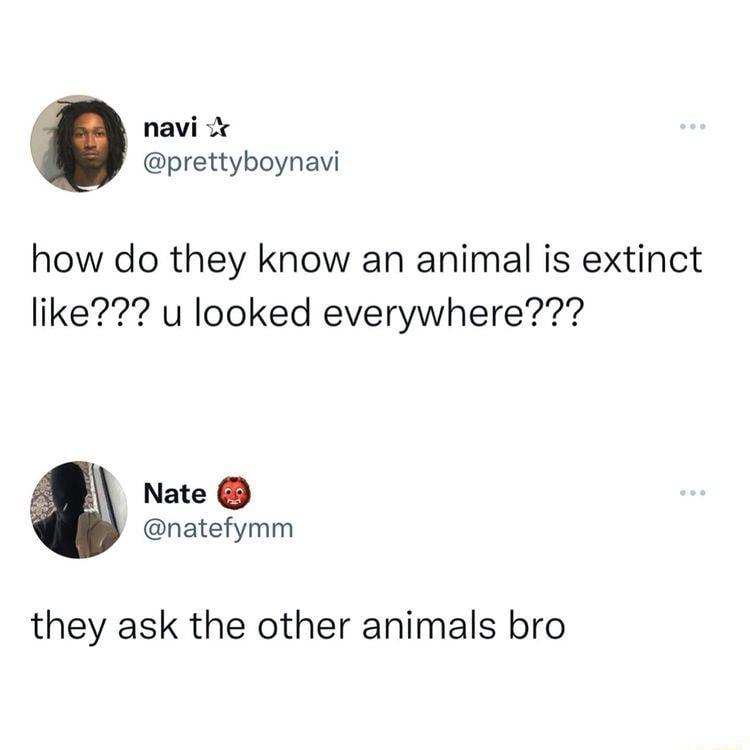 navi prettyboynavi how do they know an animal is extinct like u looked everywhere Nate natefymm they ask the other animals bro