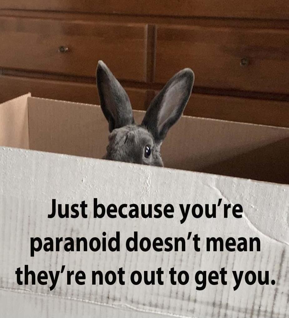 Just because you're paranoid doesn't mean they're not out to get you.