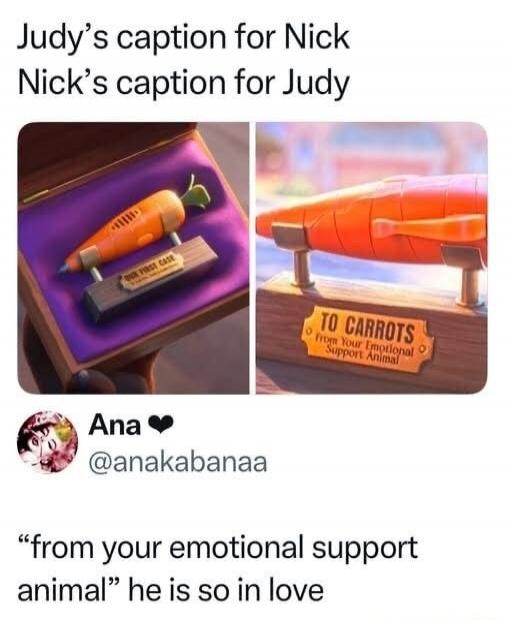Judy’s caption for Nick Nick’s caption for Judy
[image: a carrot-shaped object and a rocket labeled “TO CARROTS” with a tag reading “From your emotional support animal”]
Ana ♥ @anakabanaa
“from your emotional support animal” he is so in love