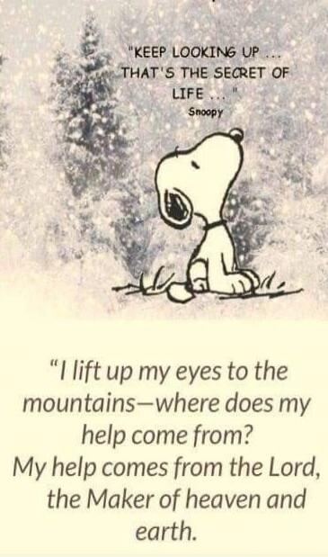 Keep looking up—that's the secret of life. Snoopy
I lift up my eyes to the mountains—where does my help come from? My help comes from the Lord, the Maker of heaven and earth.