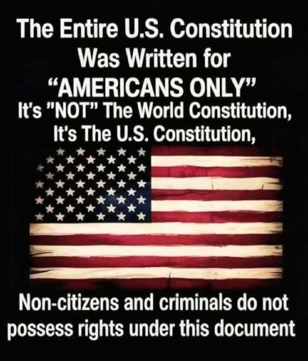 The Entire U.S. Constitution Was Written for 
