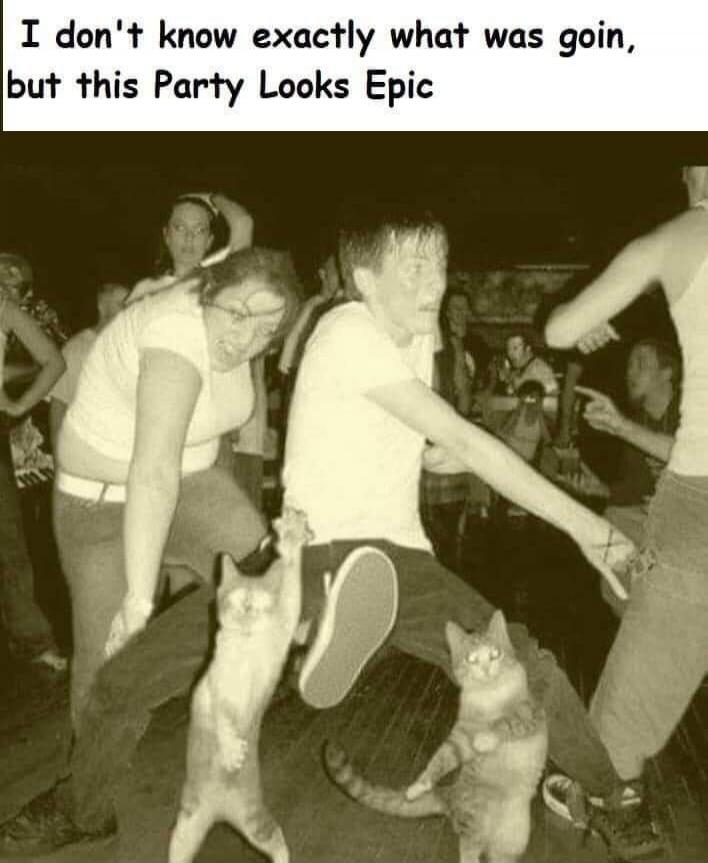 I don't know exactly what was goin, but this Party Looks Epic