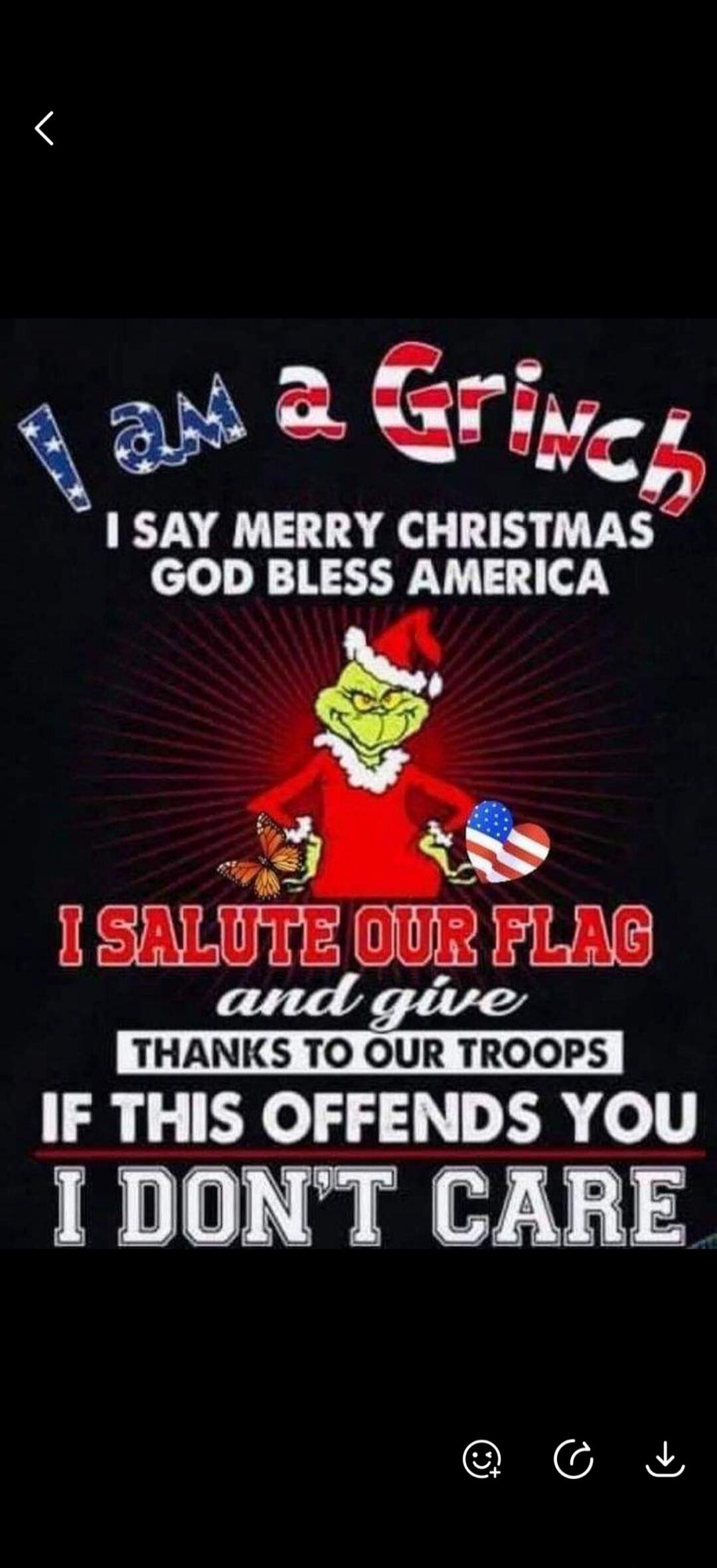 I am a Grinch. I say Merry Christmas. God Bless America. I salute our flag and give thanks to our troops. If this offends you, I don't care.