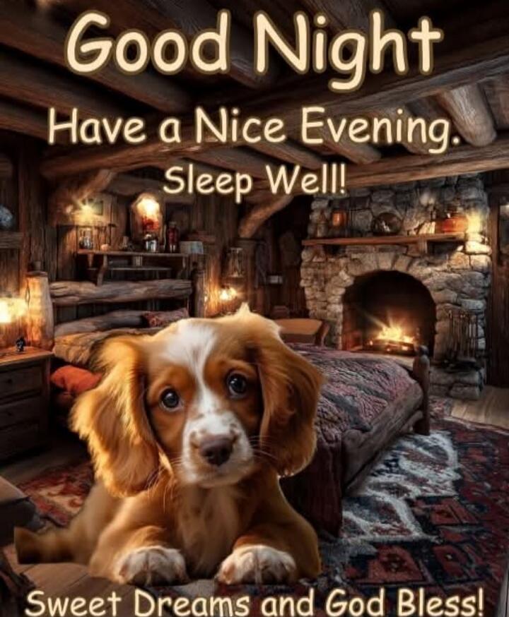 Good Night Have a Nice Evening. Sleep Well! Sweet Dreams and God Bless!