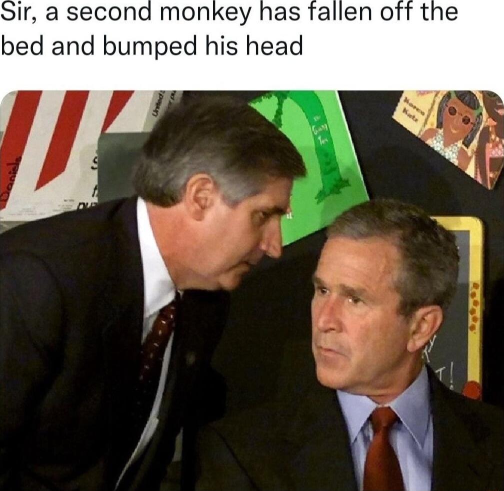 ir a second monkey has fallen off the bed and bumped his head
