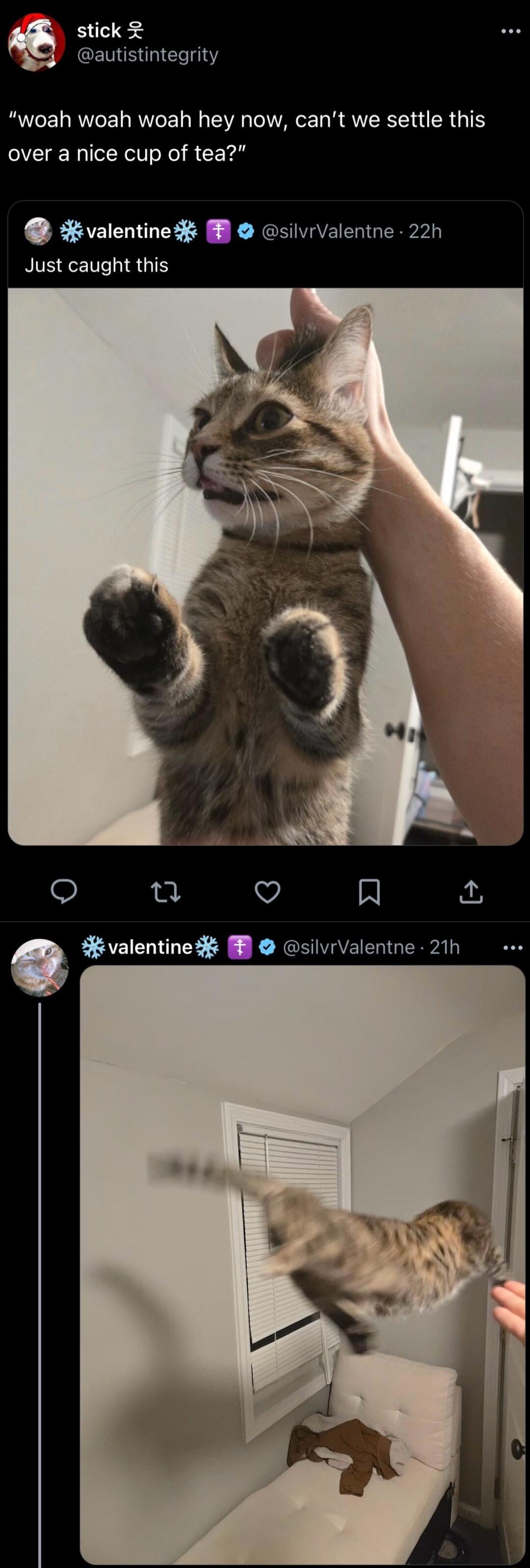 stick 2 utistintegrity woah woah woah hey now cant we settle this CE RNl S CEY Rvalentines silvrvalentne 22h Just caught this silvrvalentne 21h