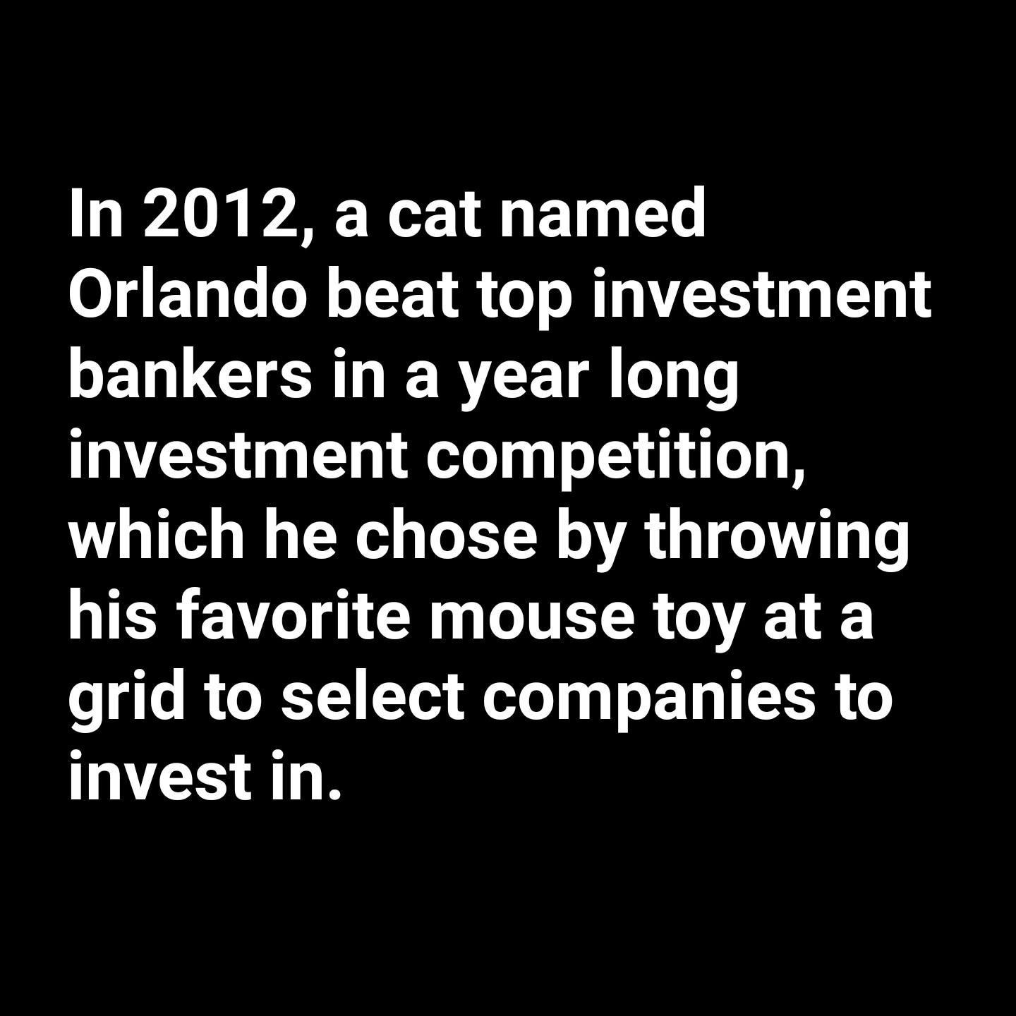 In 2012 a cat named Orlando beat top investment ELL G R TEGLT investment competition which he chose by throwing IER E T R LIRS O L RGETA T R T L ED TR invest in
