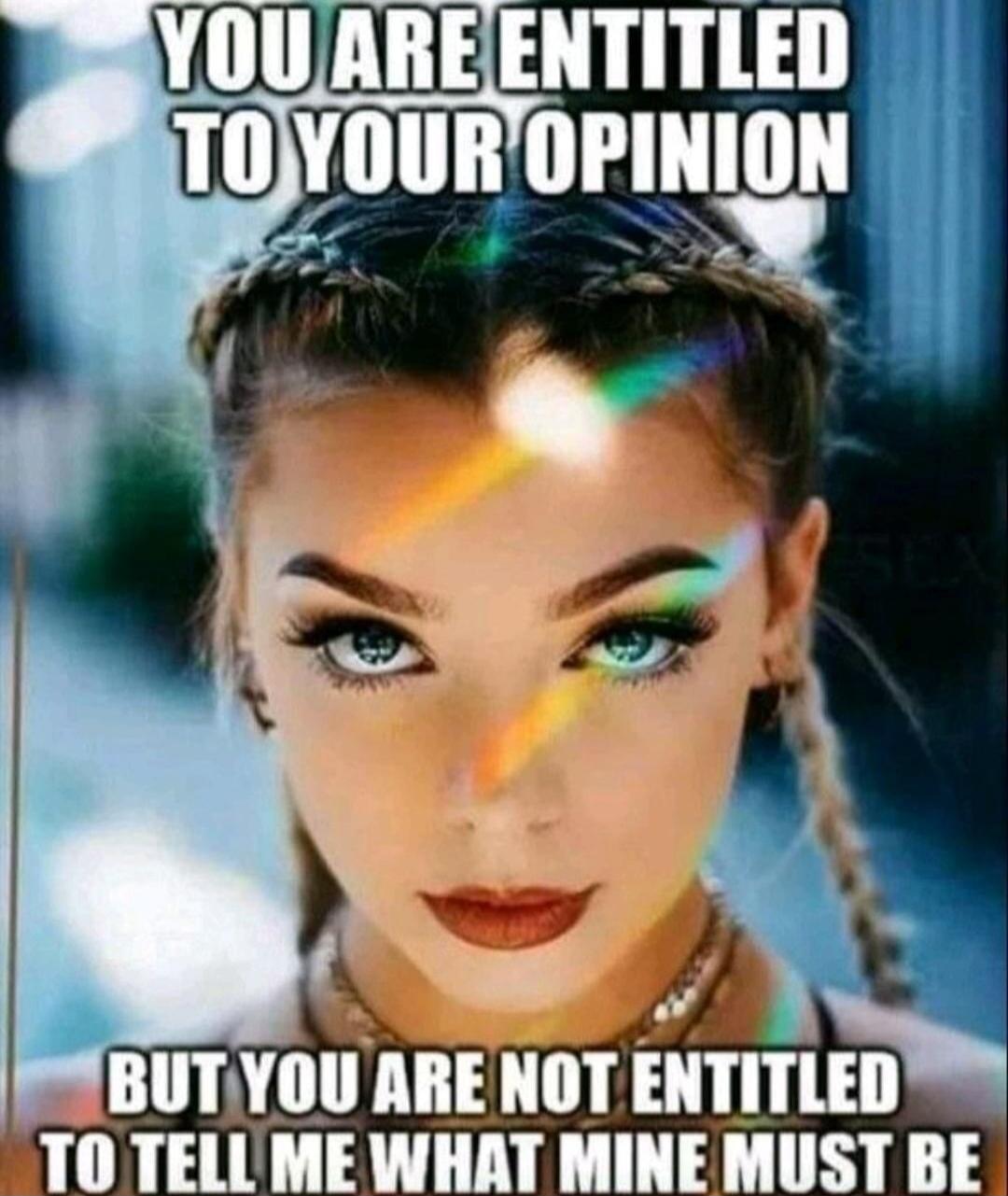YOU ARE ENTITLED TO YOUR OPINION BUT YOU ARE NOT ENTITLED TO TELL ME WHAT MINE MUST BE