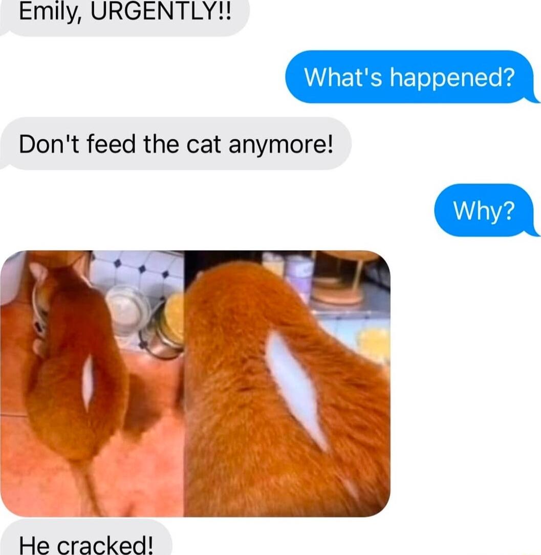 Emily URGENTLY Dont feed the cat anymore LT He cracked