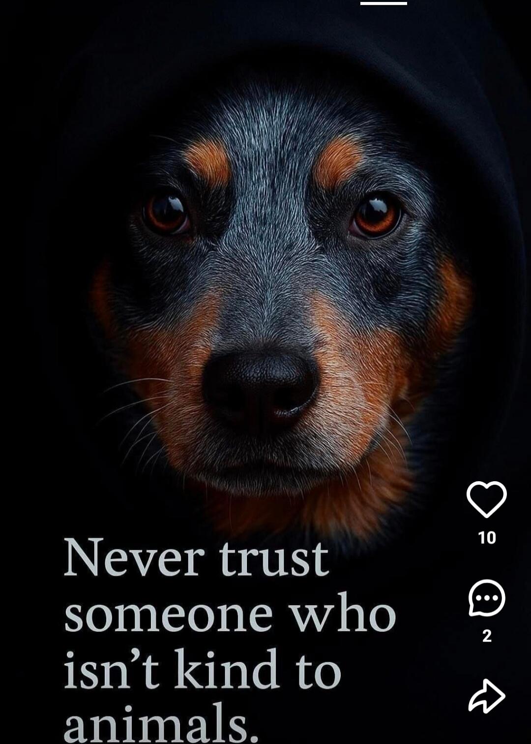 Never trust someone who isn't kind to animals.