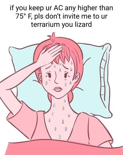 if you keep ur AC any higher than 75 F pls dont invite me to ur terrarium you lizard