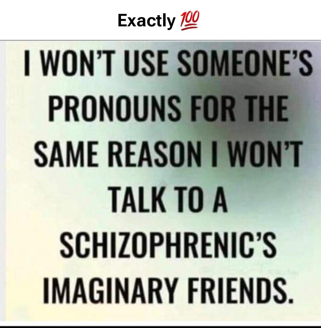 Exactly 💯 I WON'T USE SOMEONE'S PRONOUNS FOR THE SAME REASON I WON'T TALK TO A SCHIZOPHRENIC'S IMAGINARY FRIENDS.