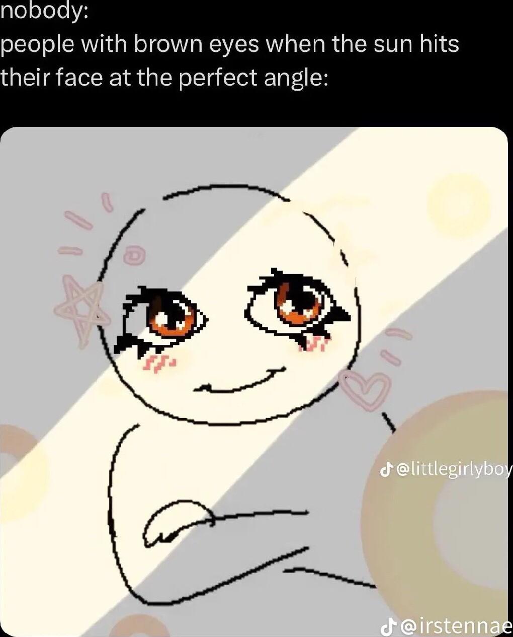 glejoleleH people with brown eyes when the sun hits heir face at the perfect angle