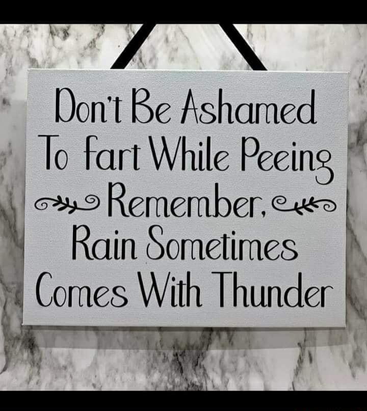 Dont Be Ashamed i To fart While Pecing 11 a9 Remember e t Y Rain Sometimes 1 Comes With Thunder ih
