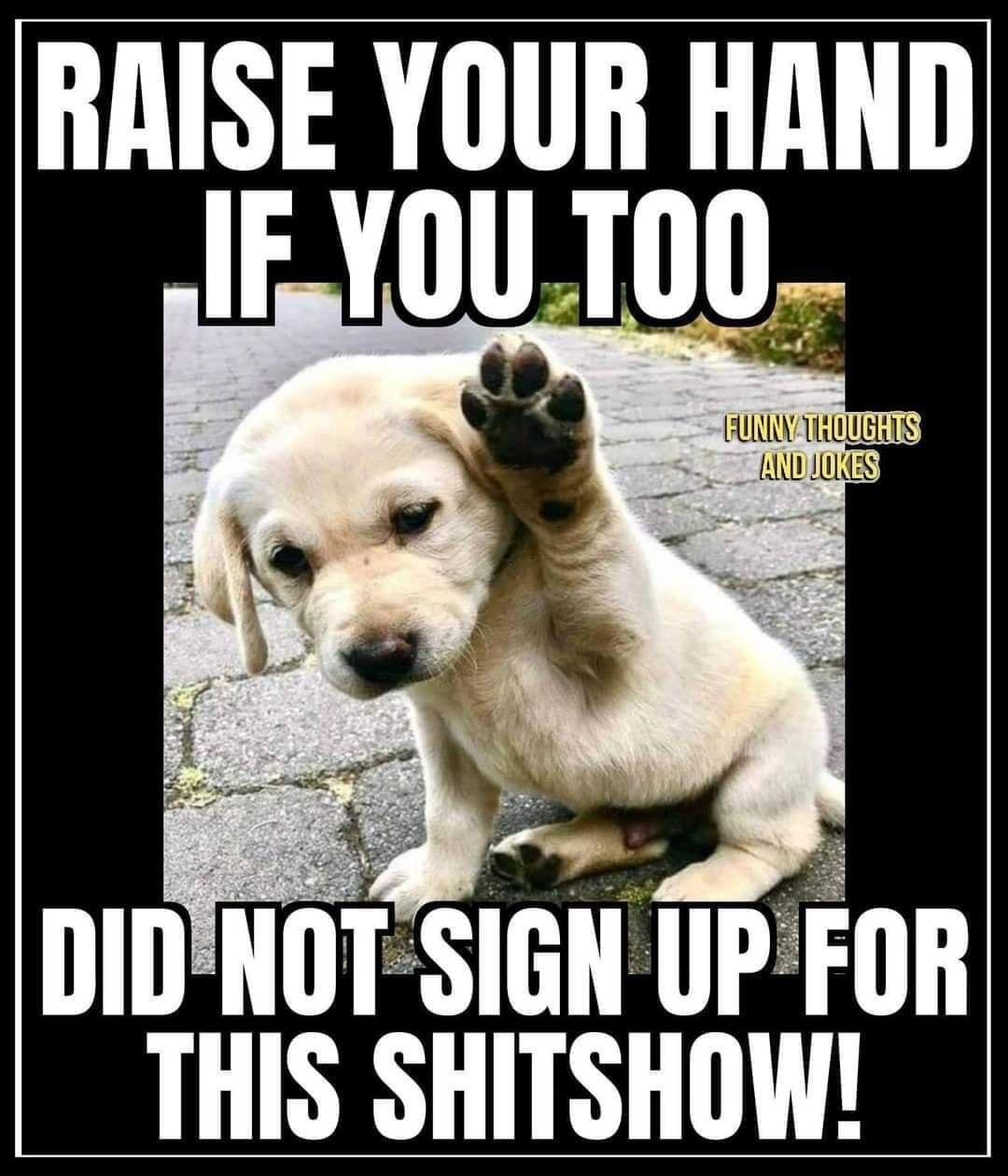 RAISE Yllli HAND UPSOTS AN RoR THIS SHITSHOW