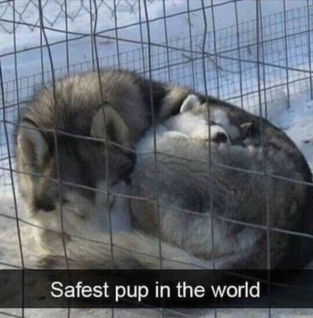 SEICS eIl Ny the world O L enca TR