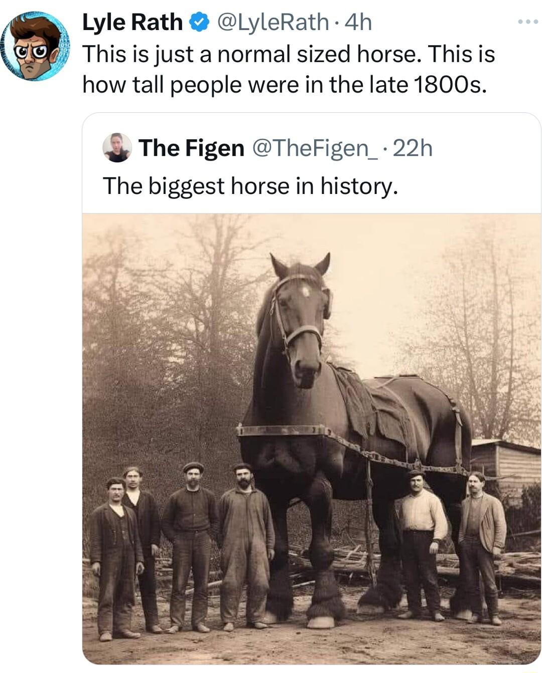Lyle Rath LyleRath 4h This is just a normal sized horse This is how tall people were in the late 1800s The Figen TheFigen_ 22h The biggest horse in history