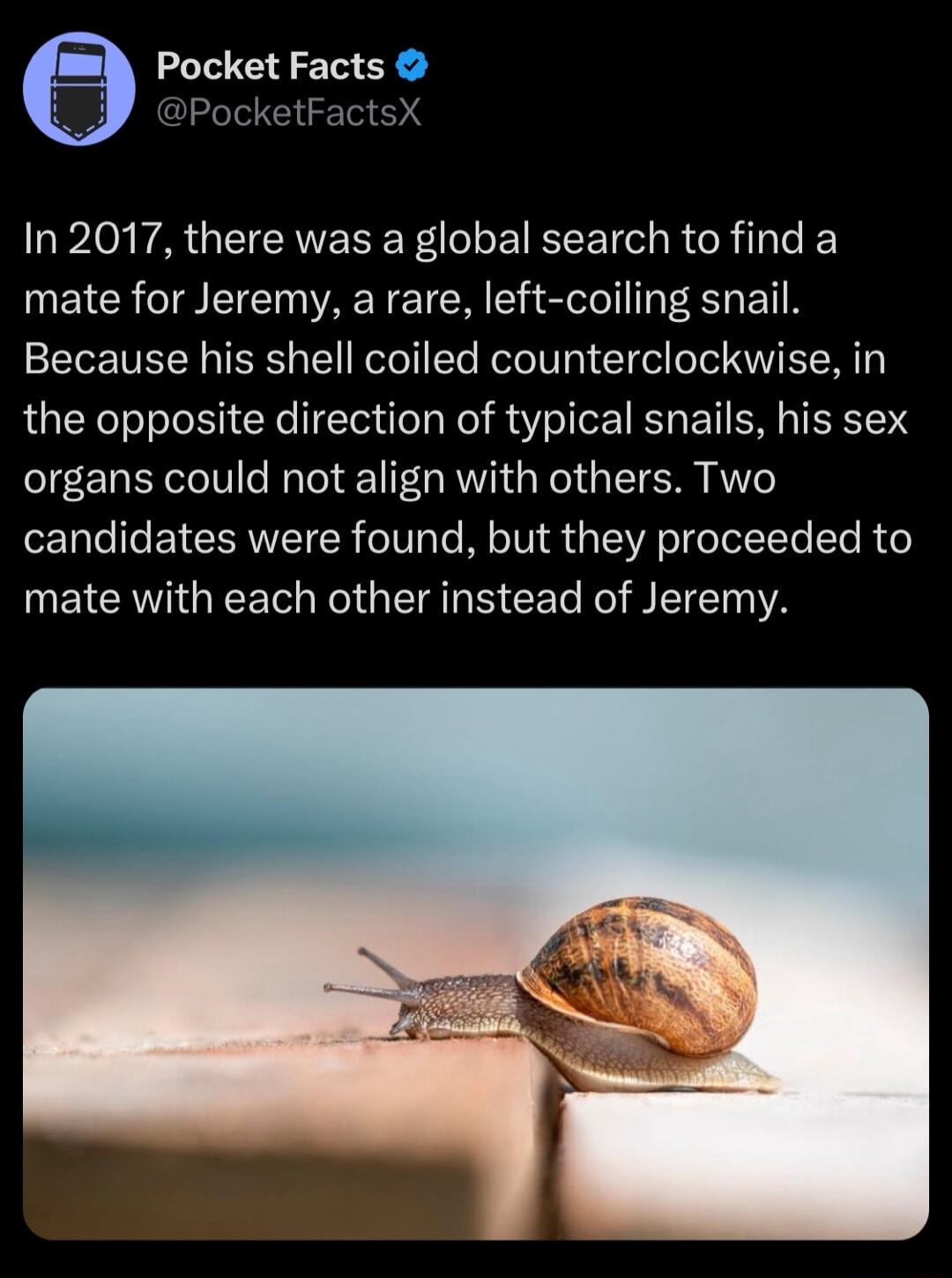 Pocket Facts PocketFactsX In 2017 there was a global search to find a mate for Jeremy a rare left coiling snail Because his shell coiled counterclockwise in the opposite direction of typical snails his sex organs could not align with others Two candidates were found but they proceeded to ETCRVIEET N G S T N BN VA