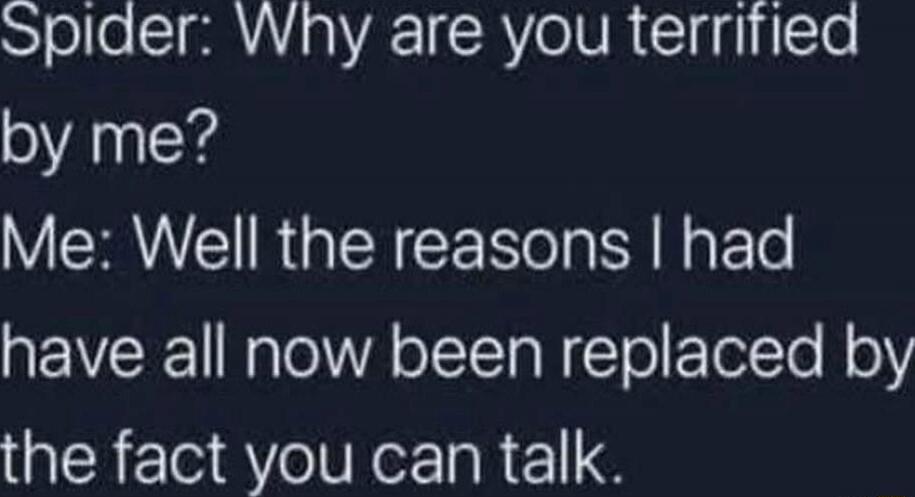 Spider: Why are you terrified by me?
Me: Well the reasons I had have all now been replaced by the fact you can talk.
