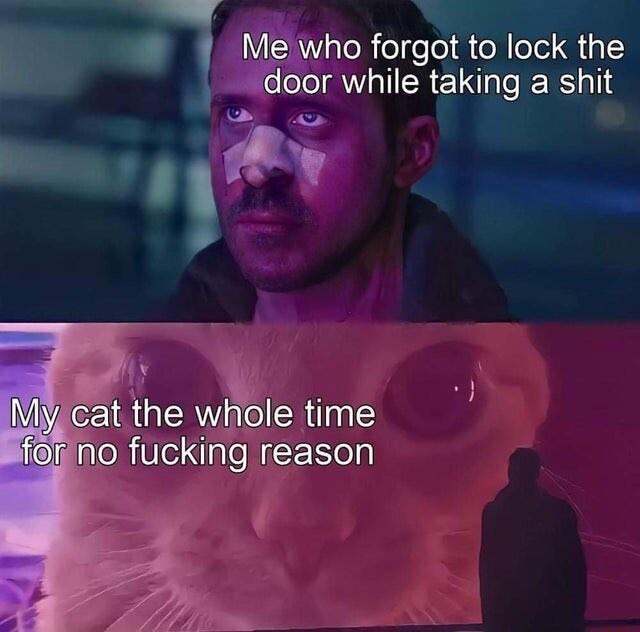 joor while taking a shit