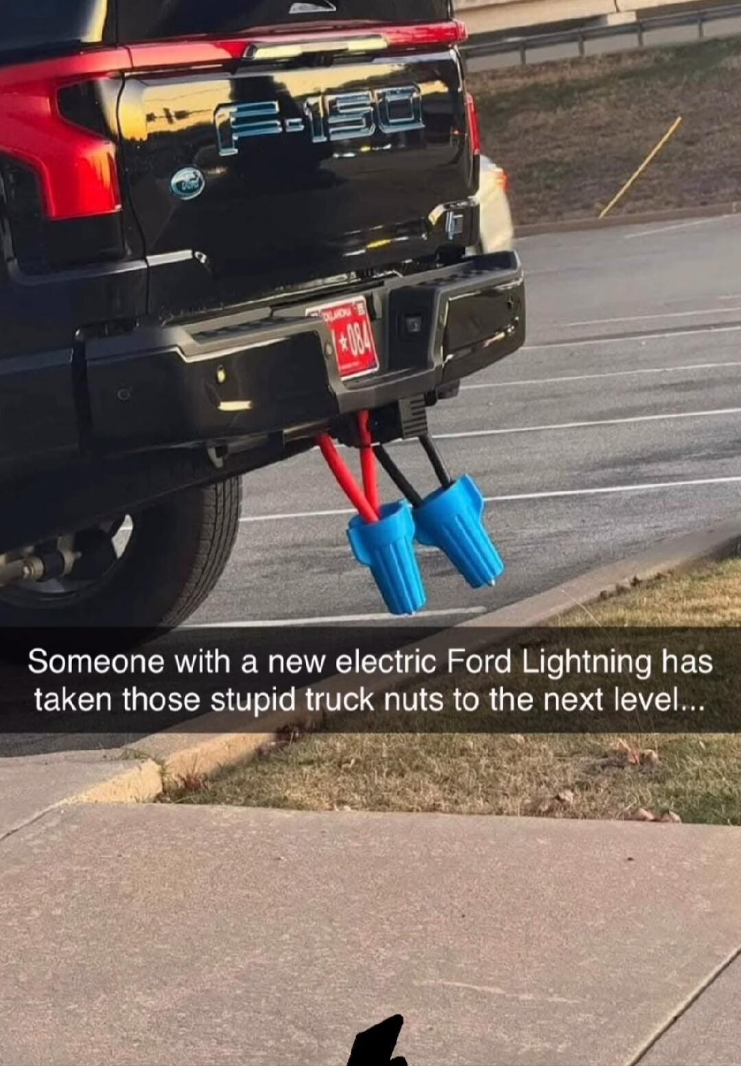 Someone with a new electric Ford Lightning has taken those stupid truck nuts to the next level