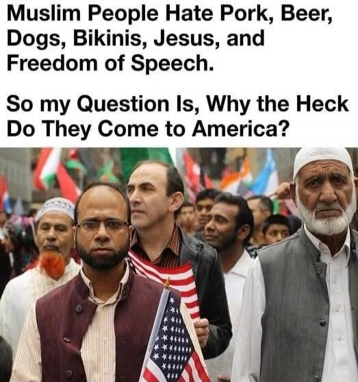 Muslim People Hate Pork, Beer, Dogs, Bikinis, Jesus, and Freedom of Speech.
So my Question Is, Why the Heck Do They Come to America?