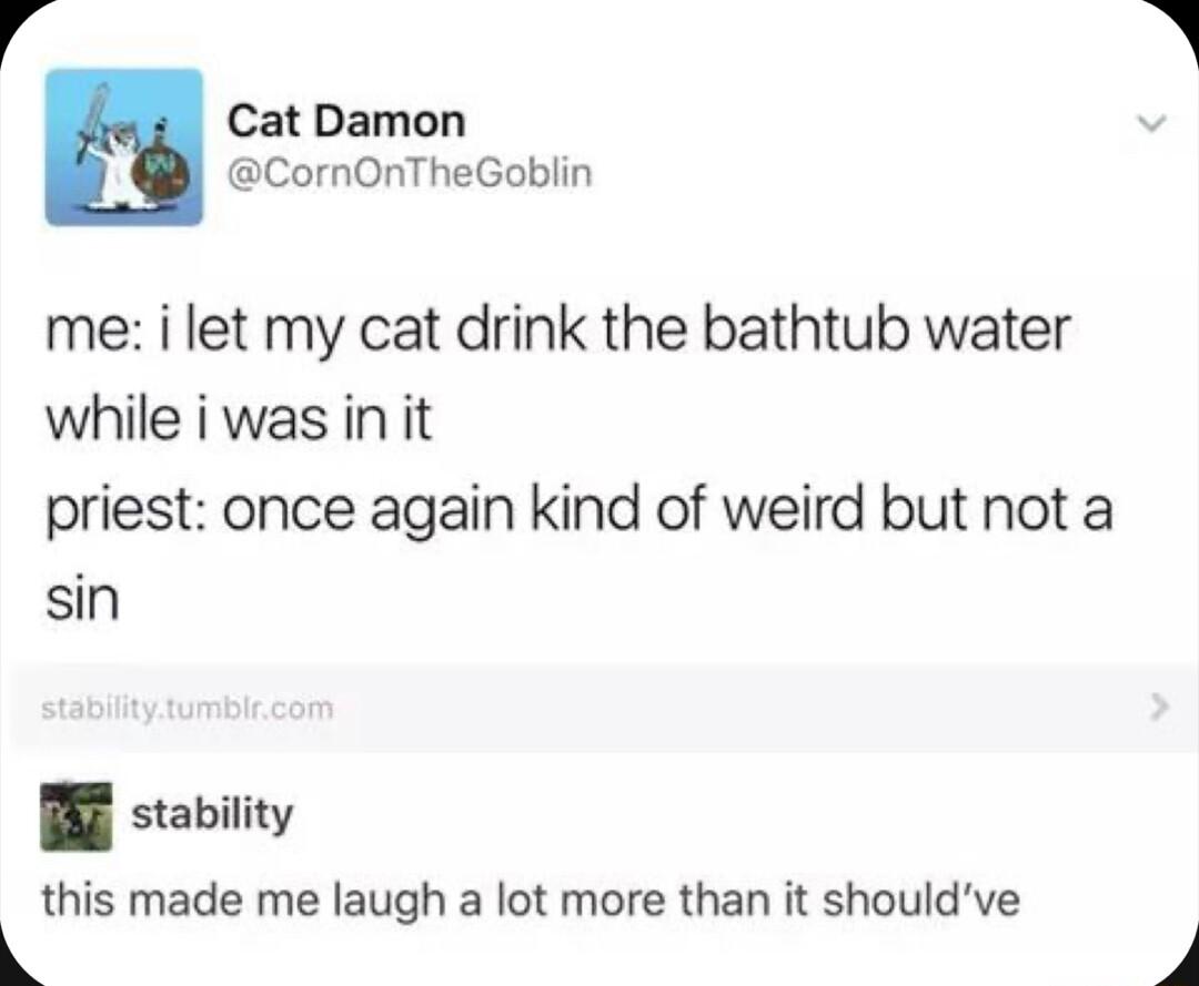 Cat Damon CornOnTheGoblin me i let my cat drink the bathtub water while i was in it priest once again kind of weird but not a sin stability this made me laugh a lot more than it shouldve