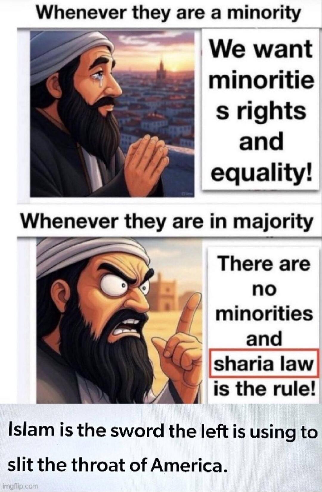 Whenever they are a minority, we want minorities rights and equality! Whenever they are in majority, there are no minorities and sharia law is the rule! Islam is the sword the left is using to slit the throat of America.
