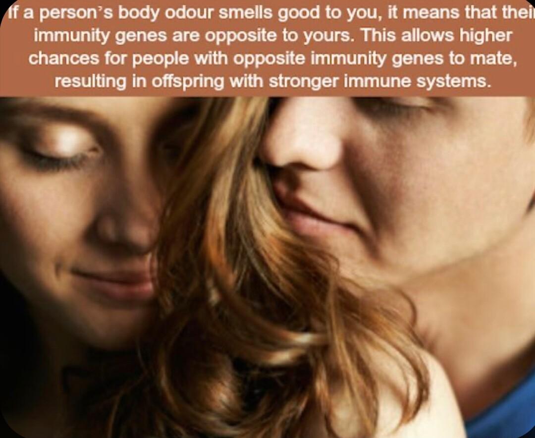 If a persons body odour smelis good to you it means that thei immunity genes are opposite to yours This allows higher chances for people with opposite immunity genes to mate resulting in offspring with stronger immune systems iy v i