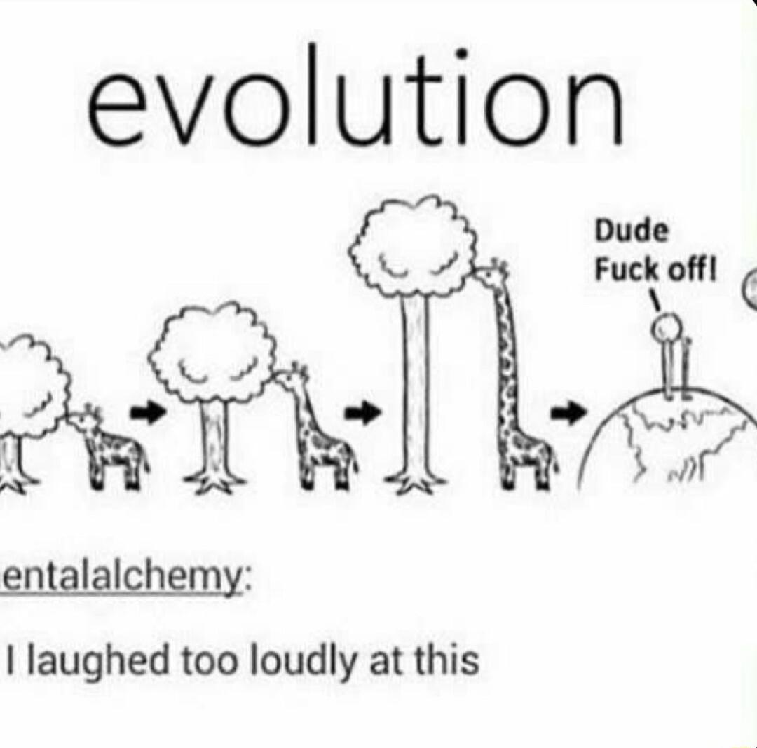 evolution Dude Fuck offl v g A0 v d 3 entalalchemy laughed too loudly at this