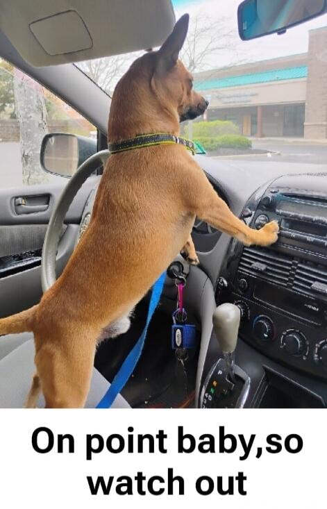 On point baby,so watch out