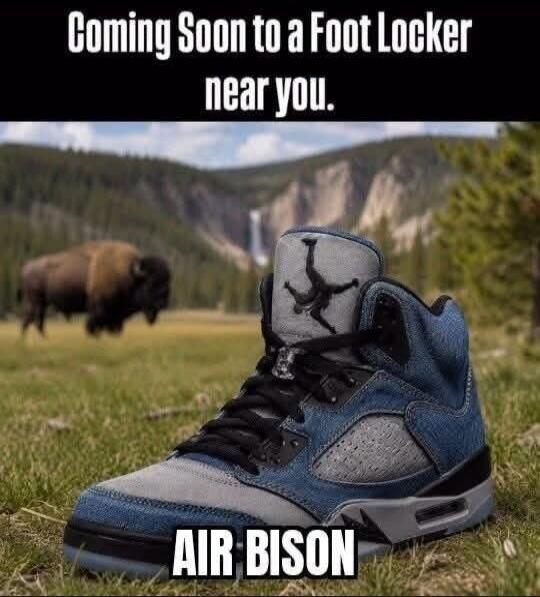 Coming Soon to a Foot Locker near you. AIR BISON