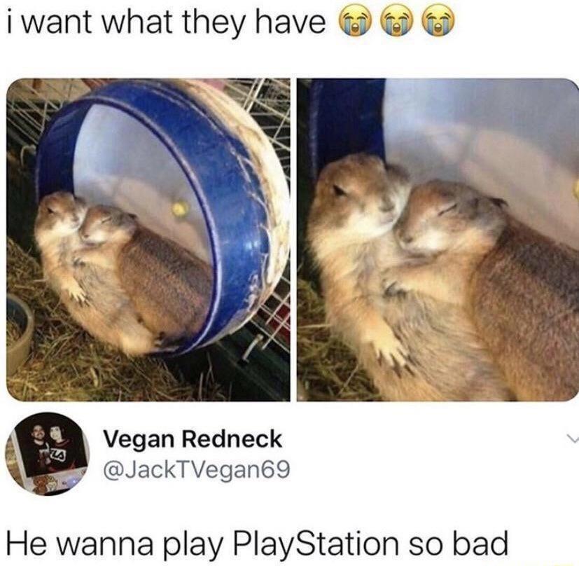 i want what they have I Vegan Redneck A g JackTVegan69 He wanna play PlayStation so bad