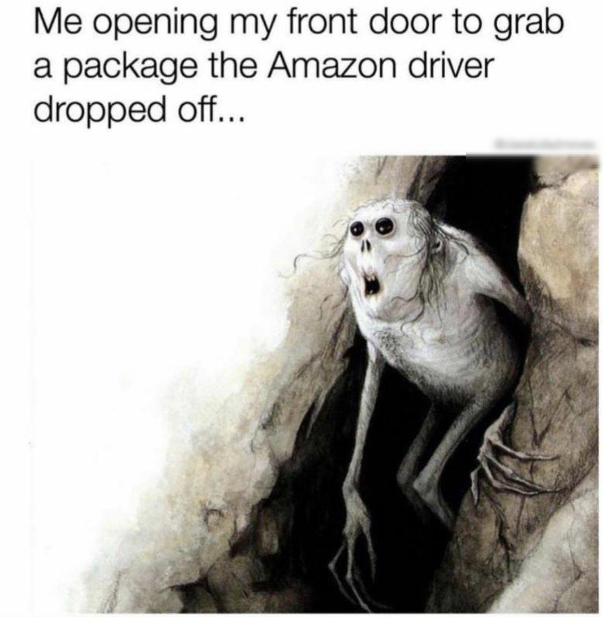 Me opening my front door to grab a package the Amazon driver dropped off