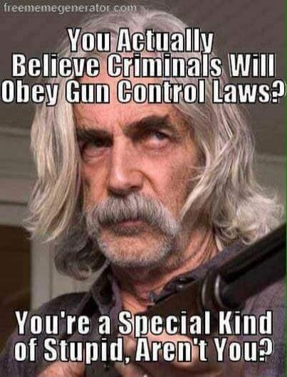 You Actually Believe Criminals Will Obey Gun Control Laws? You're a Special Kind of Stupid, Aren't You?