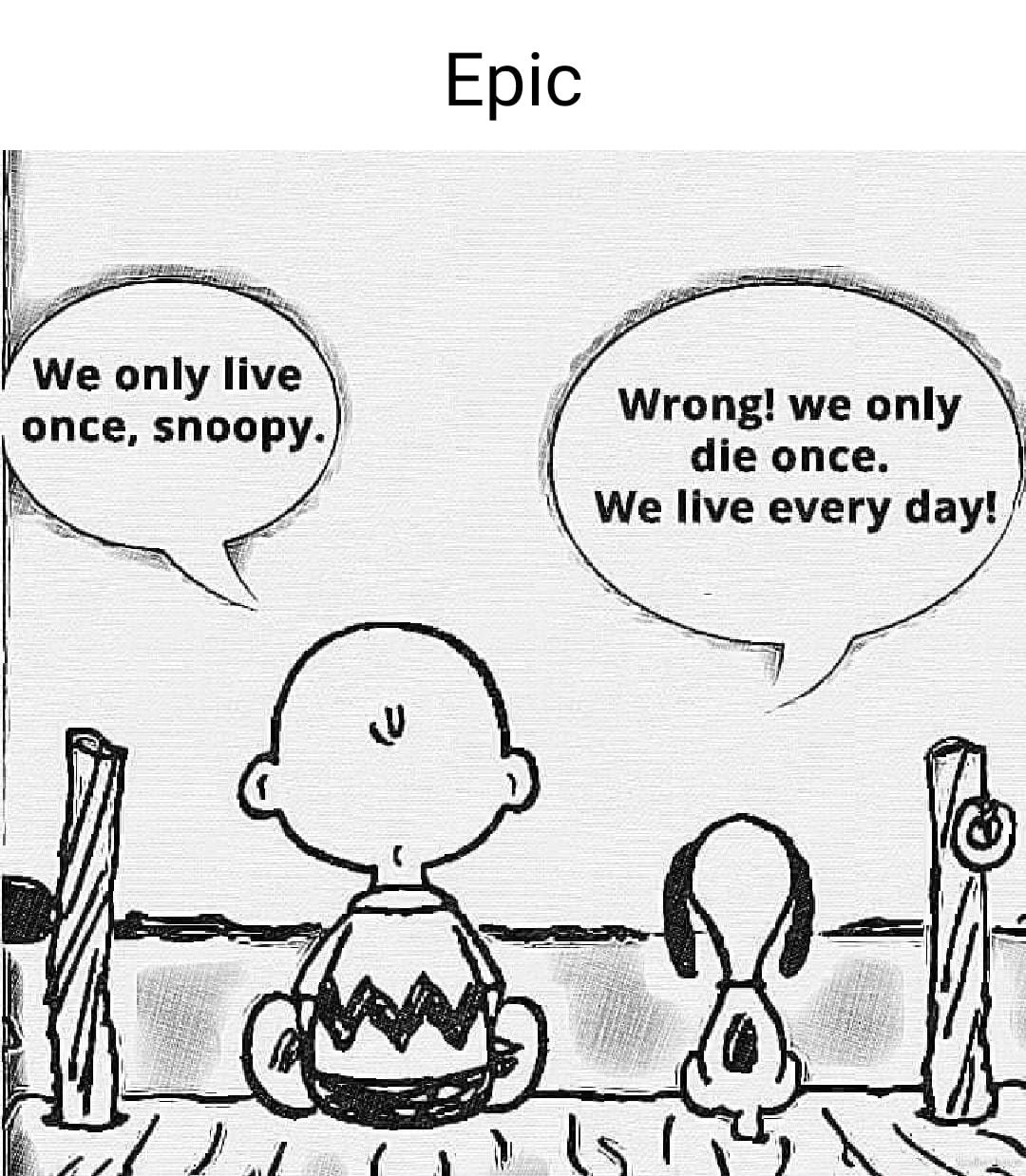 We only live s once snoopy Wrong we only die once